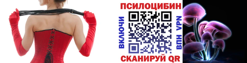 Псилоцибиновые грибы MAGIC MUSHROOMS  kraken как зайти  Тихвин 